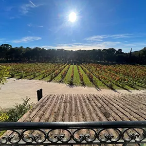 Unique Dans Le Domaine De La Sangliere Bormes-les-Mimosas